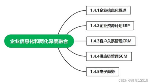 系統集成項目管理工程師 第1章 信息化知識——企業信息化工程要點解析